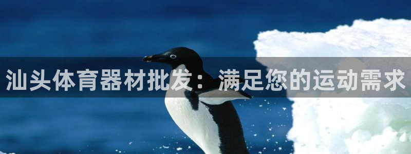 耀世娱乐注册账号：汕头体育器材批发：满足您的运动需求