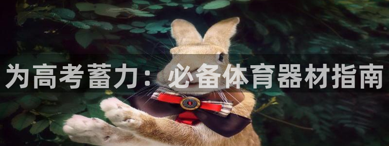耀世娱乐登录地址在哪看：为高考蓄力：必备体育器材指南