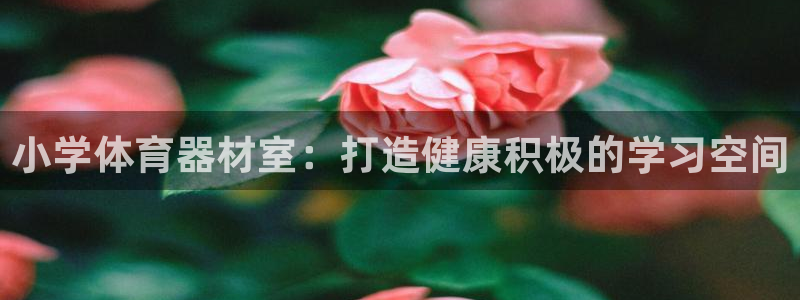 耀世平台网址：小学体育器材室：打造健康积极的学习空间