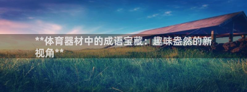 耀世平台的运营模式：**体育器材中的成语宝藏：趣味盎