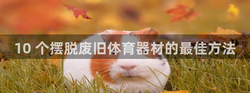 耀世娱乐app下载：10 个摆脱废旧体育器材的最佳方