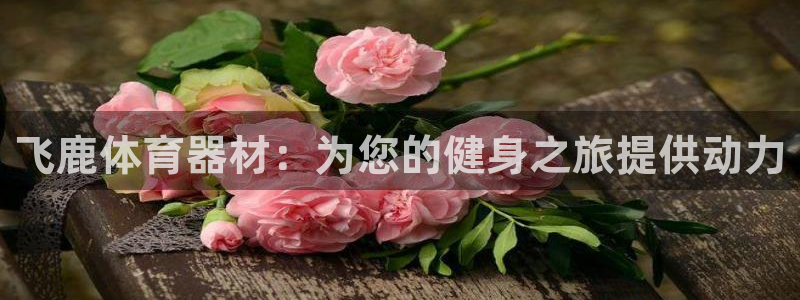 耀世平台实7O777：飞鹿体育器材：为您的健身之旅提