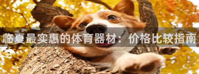 耀世平台拿什么输入账号密码：临夏最实惠的体育器材：价