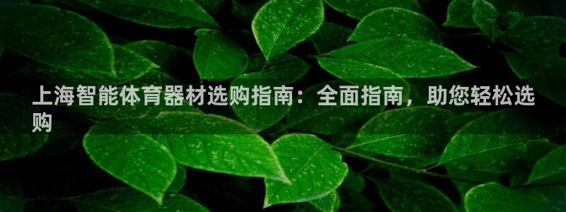 耀世娱乐注册：上海智能体育器材选购指南：全面指南，助