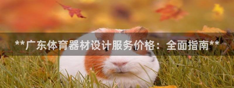 耀世平台代理怎么做：**广东体育器材设计服务价格：全