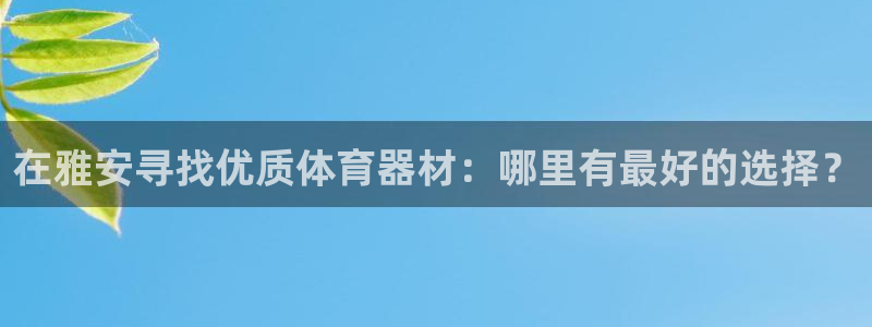 耀世传媒好吗：在雅安寻找优质体育器材：哪里有最好的选