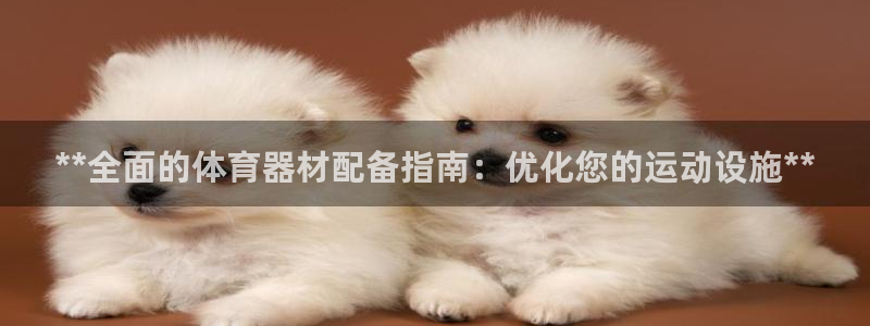 耀世娱乐平台官网登录不了怎么回事：**全面的体育器材