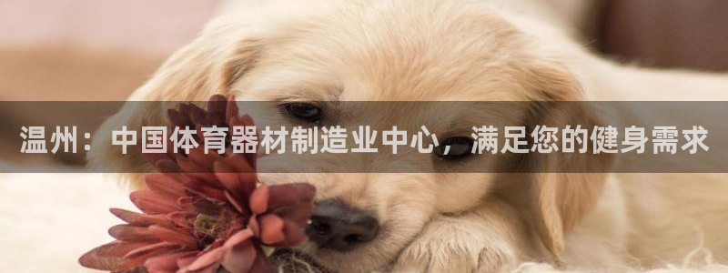 耀世娱乐平台巴7O777：温州：中国体育器材制造业中