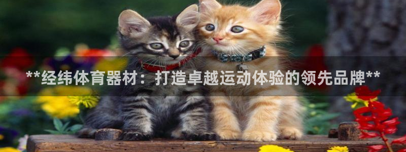 耀世集团是什么电影里的人物：**经纬体育器材：打造卓