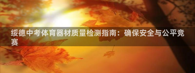 耀世集团做什么的：绥德中考体育器材质量检测指南：确保