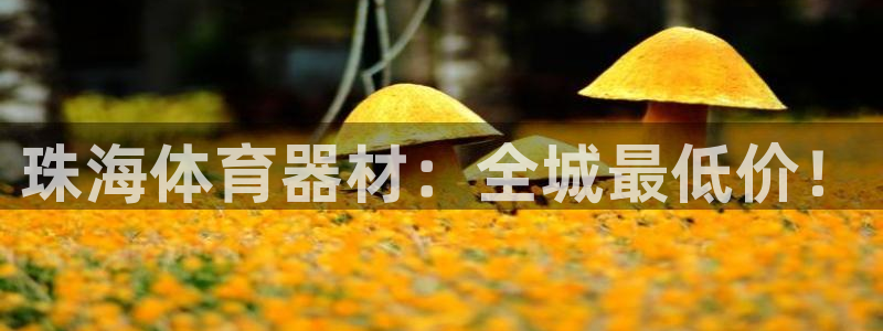 耀世平台主管代理：珠海体育器材：全城最低价！