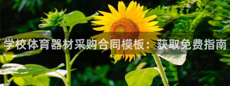 耀世平台合作 585.34I 平台：学校体育器材采购