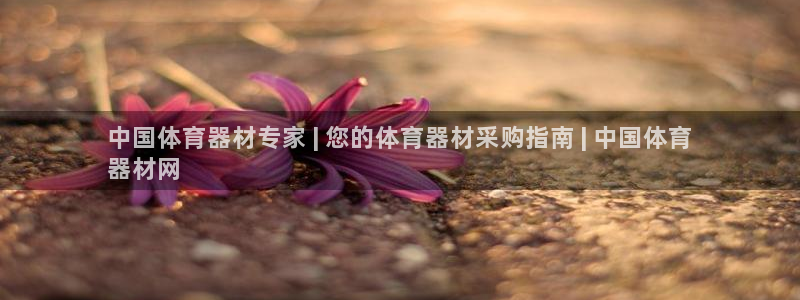 耀世集团王大聪简介：中国体育器材专家 | 您的体育器