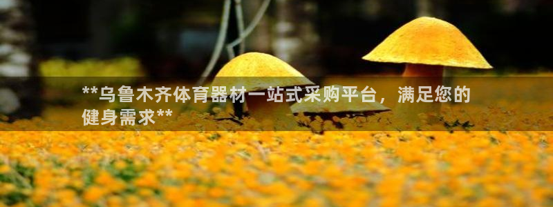 耀世集团董事长抖音是谁：**乌鲁木齐体育器材一站式采