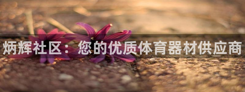 耀世来袭什么意思：炳辉社区：您的优质体育器材供应商