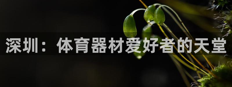 耀世娱乐电 5O6917 娱乐：深圳：体育器材爱好者