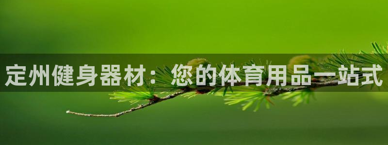 耀世娱乐登录注册教程：定州健身器材：您的体育用品一站