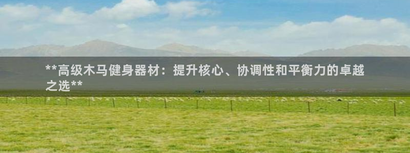 耀世天下搭配一个图片：**高级木马健身器材：提升核心