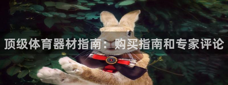 耀世娱乐官网网站：顶级体育器材指南：购买指南和专家评