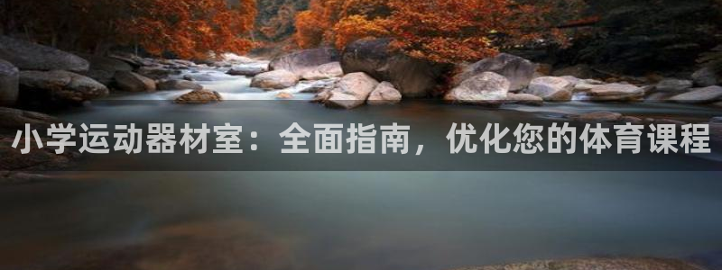 耀世娱乐登录注册：小学运动器材室：全面指南，优化您的