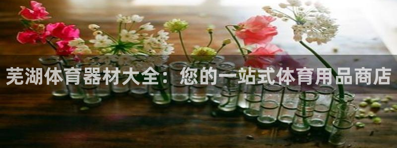 耀世集团视频直播怎么样：芜湖体育器材大全：您的一站式