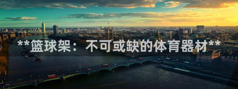 耀世而来：**篮球架：不可或缺的体育器材**