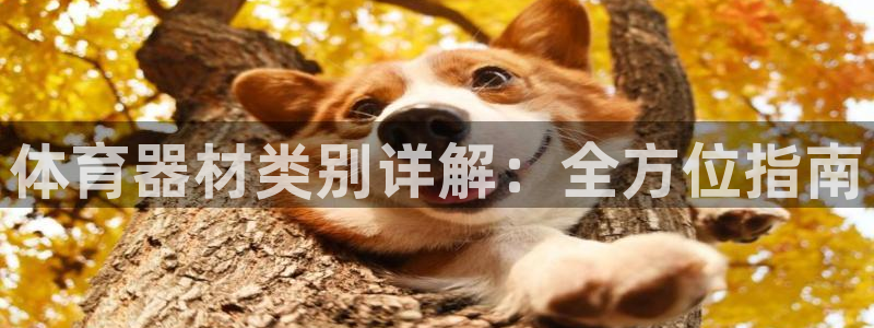 耀世娱乐含山：体育器材类别详解：全方位指南