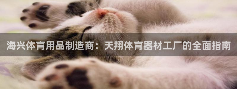 耀世娱乐官网网站首页：海兴体育用品制造商：天翔体育器
