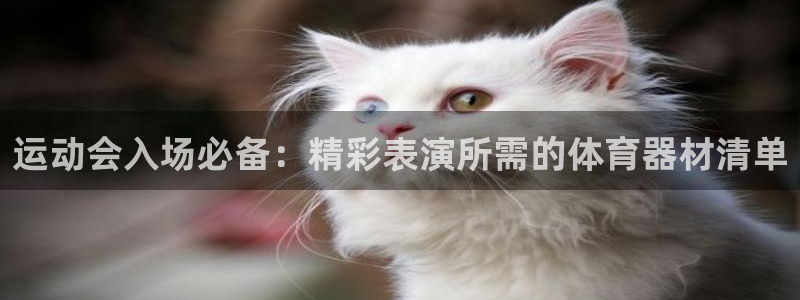 耀世娱乐官网注册账号：运动会入场必备：精彩表演所需的