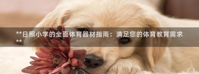 耀世平台主管代理怎么做：**日照小学的全面体育器材指