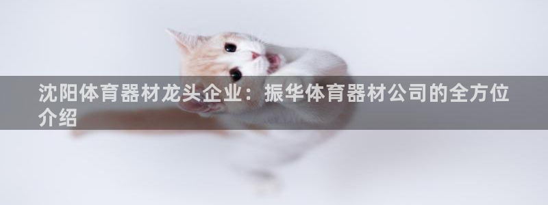 耀世平台注册步骤图片：沈阳体育器材龙头企业：振华体育