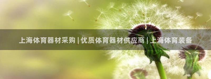 耀世娱乐家 411O31 耀世：上海体育器材采购 |