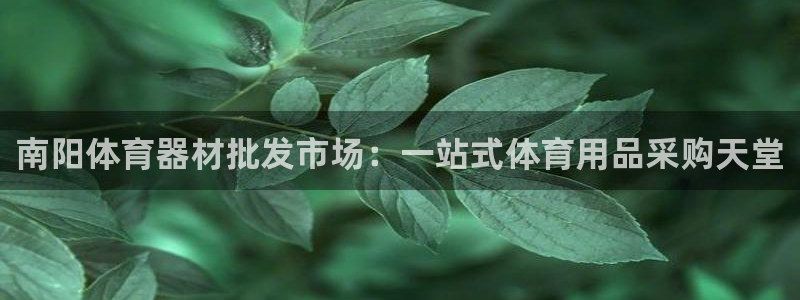 耀世平台产7O777：南阳体育器材批发市场：一站式体