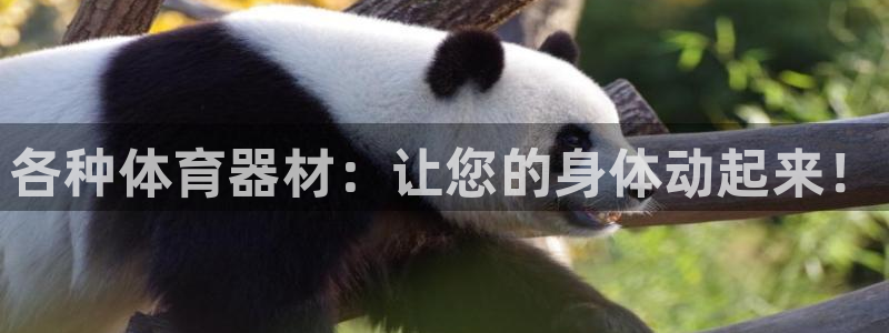 耀世平台注册链接：各种体育器材：让您的身体动起来！