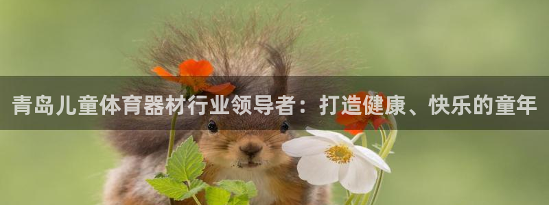 耀世娱乐登录注册流程：青岛儿童体育器材行业领导者：打