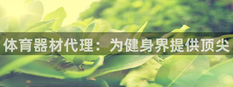 耀世平台代理：体育器材代理：为健身界提供顶尖