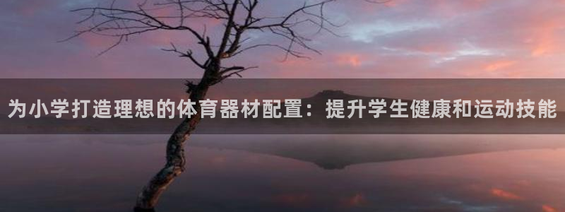 耀世集团耀哥：为小学打造理想的体育器材配置：提升学生