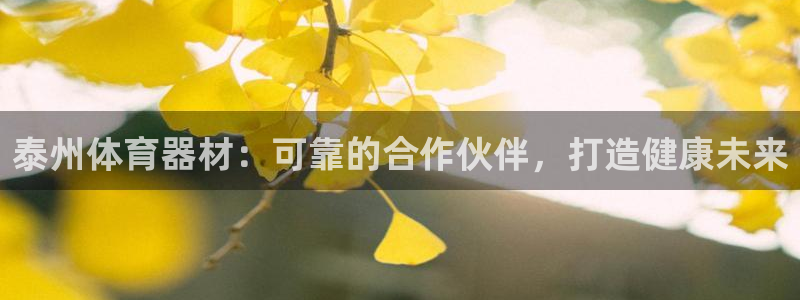 耀世金生产品好吗：泰州体育器材：可靠的合作伙伴，打造