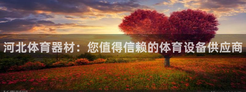 耀世金生产品介绍：河北体育器材：您值得信赖的体育设备