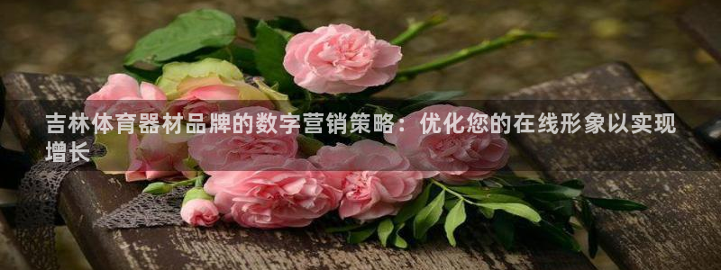 耀世平台开户要求：吉林体育器材品牌的数字营销策略：优