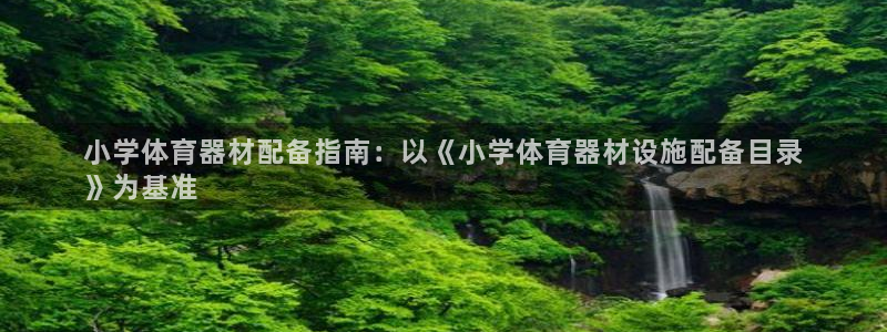 耀世国际集团是国企吗还是央企：小学体育器材配备指南：