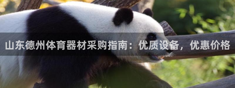 耀世意思是什么：山东德州体育器材采购指南：优质设备，