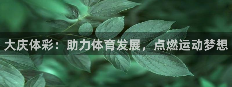 耀世娱乐在线登录官网入口下载：大庆体彩：助力体育发展