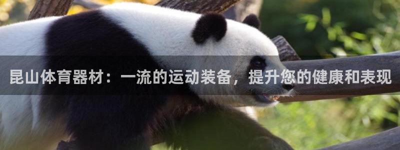 耀世平台代理多少钱一个月：昆山体育器材：一流的运动装