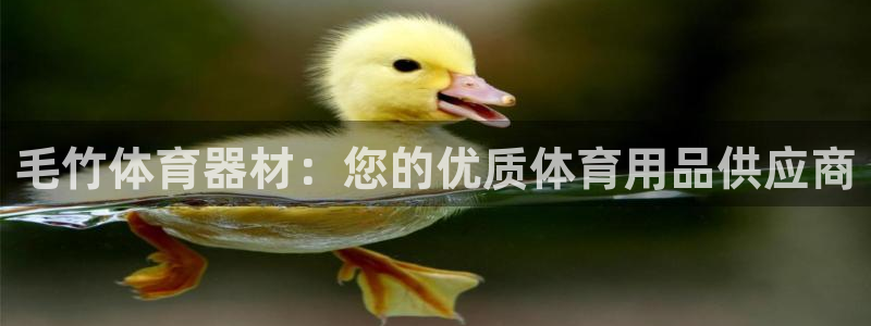 耀世娱乐登录遍333OO：毛竹体育器材：您的优质体育