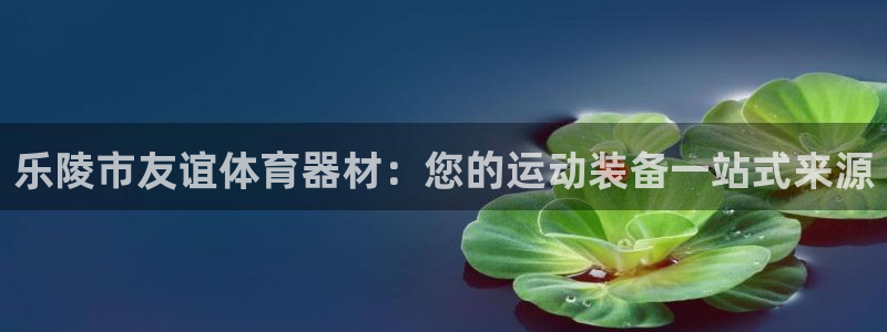 耀世国际平台正规吗可靠吗可信吗：乐陵市友谊体育器材：