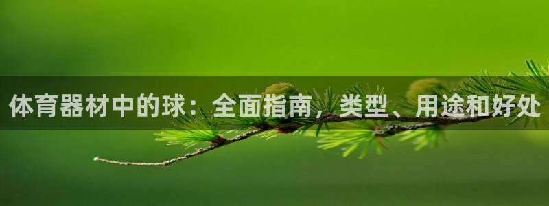 耀世平台总代理：体育器材中的球：全面指南，类型、用途