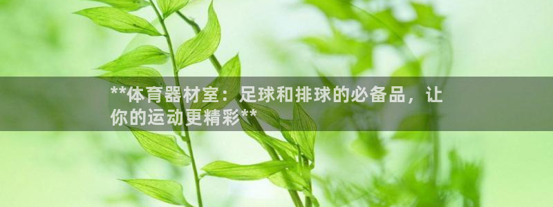 耀世平台代理多少钱一个：**体育器材室：足球和排球的