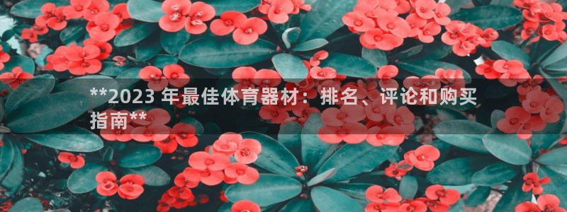 耀世娱乐注册官网账号：**2023 年最佳体育器材：
