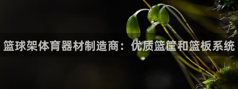 耀世娱乐app下载官网：篮球架体育器材制造商：优质篮